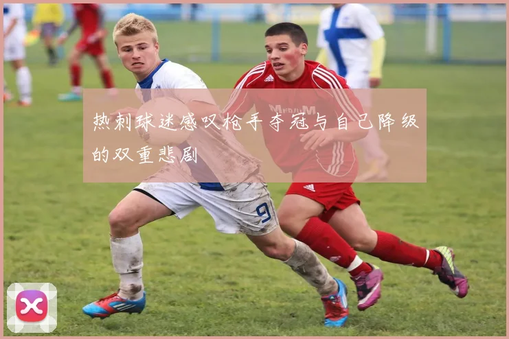 热刺球迷感叹枪手夺冠与自己降级的双重悲剧
