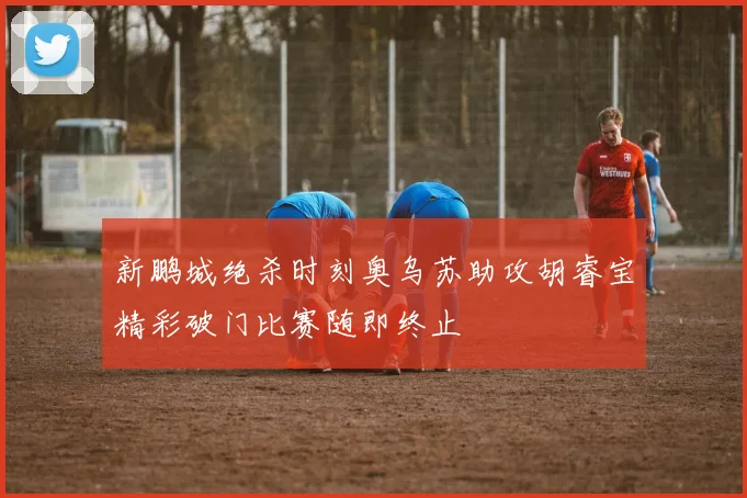 新鹏城绝杀时刻奥乌苏助攻胡睿宝精彩破门比赛随即终止
